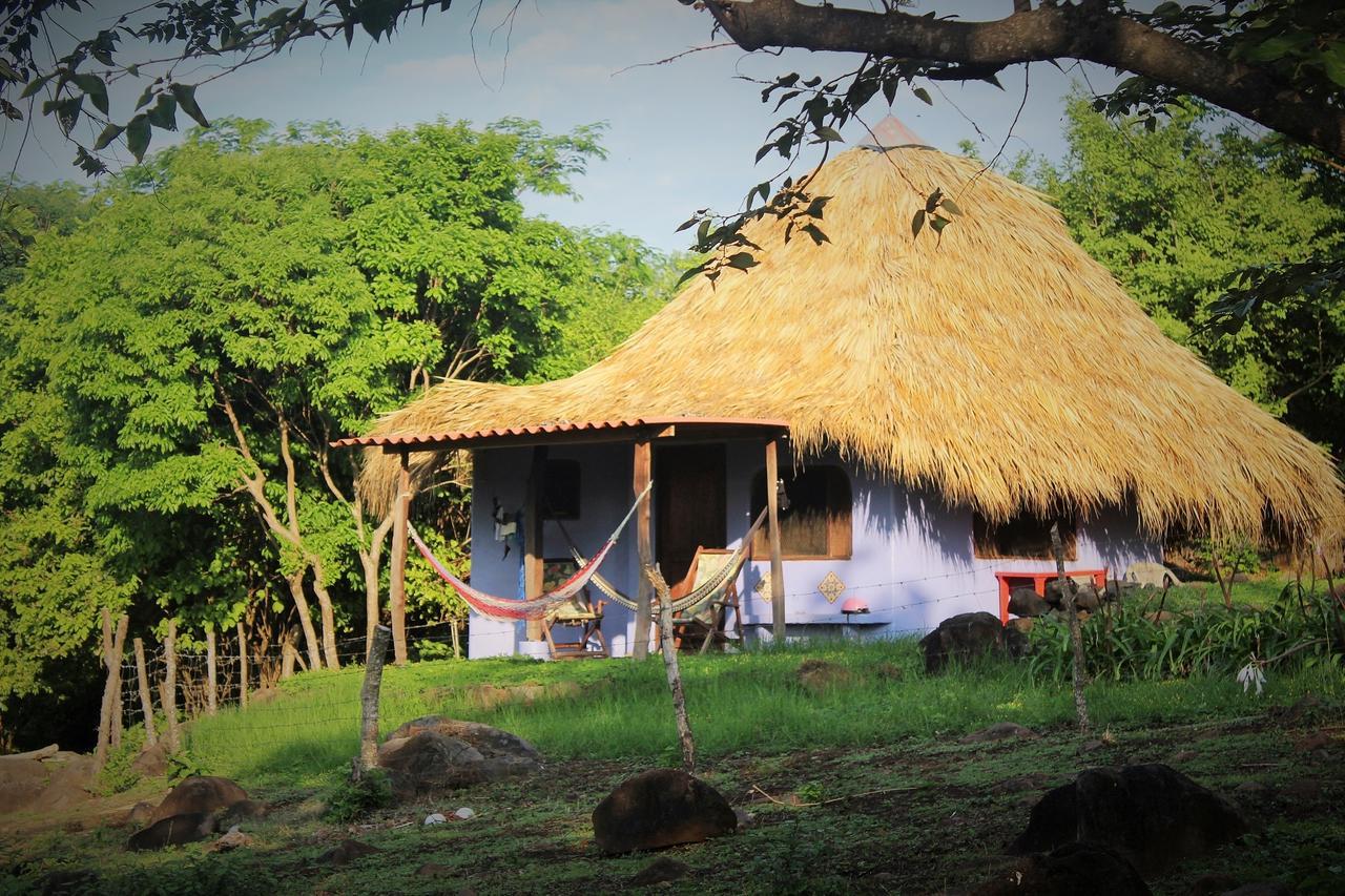 Lodge Del Sol Eco