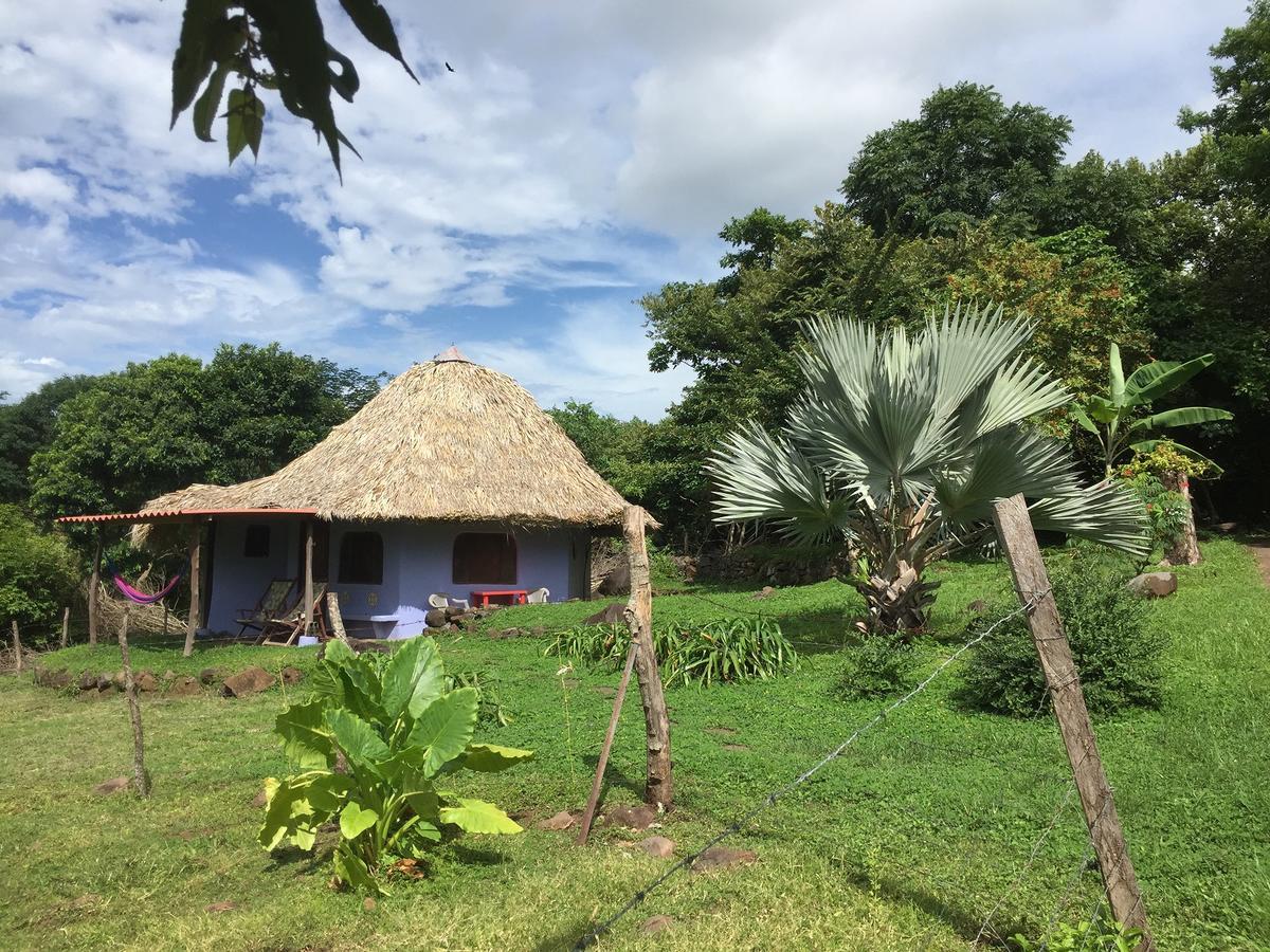 Lodge Del Sol Eco
