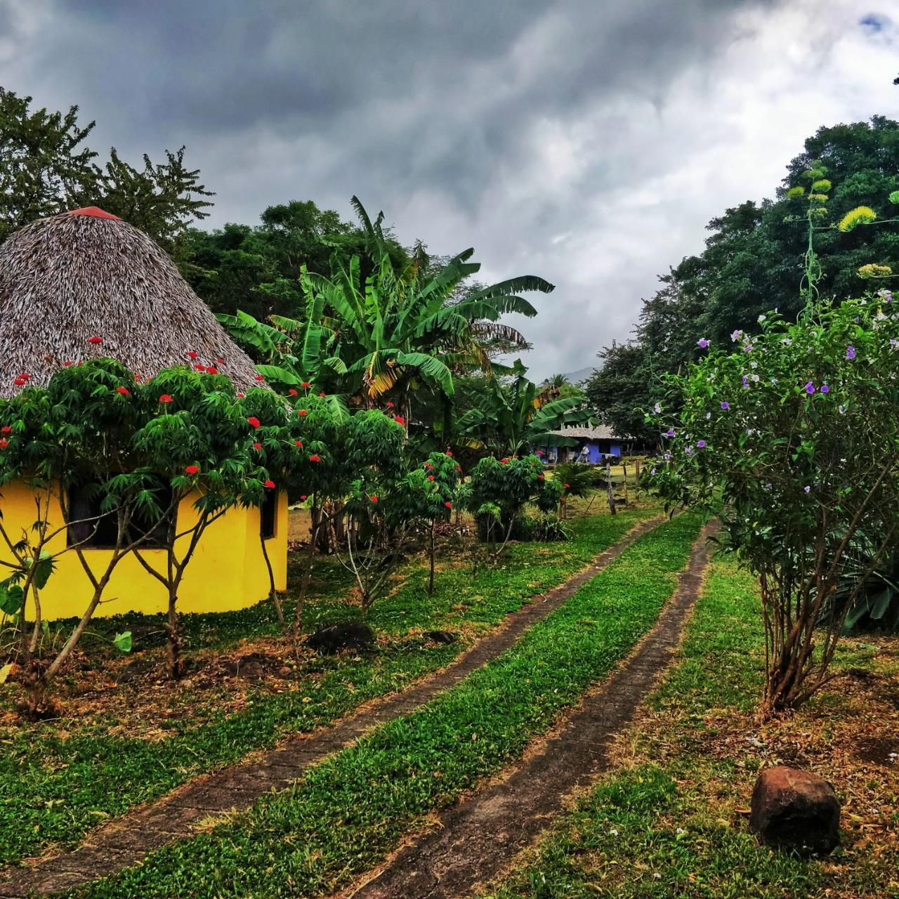 Lodge Del Sol Eco *