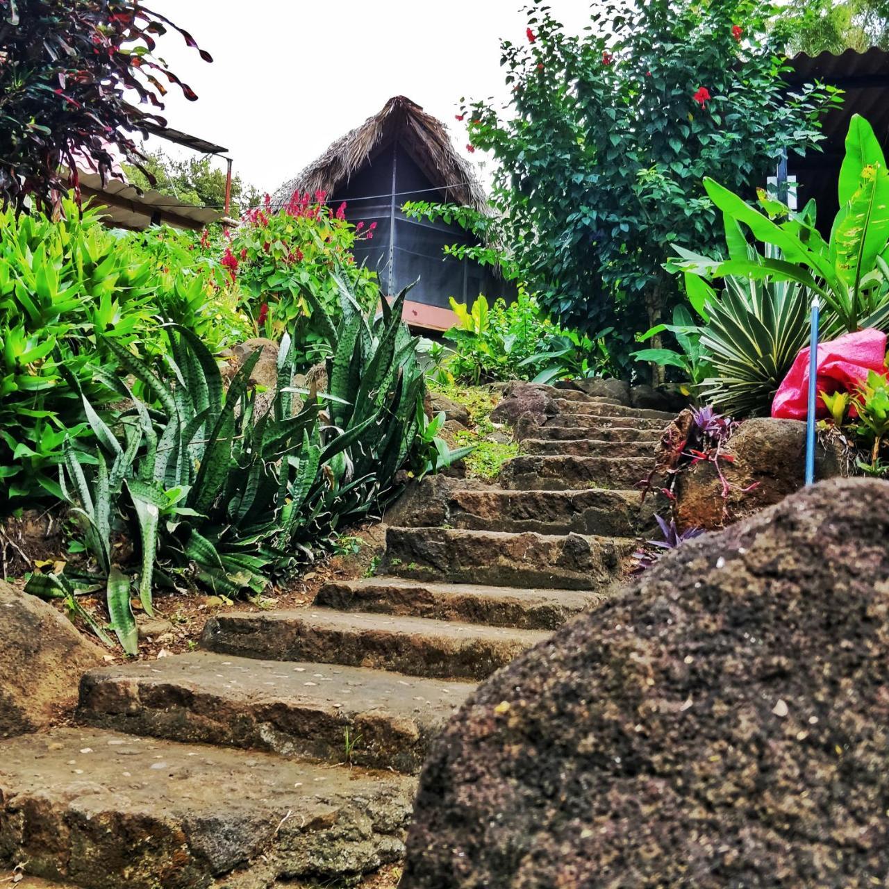Del Sol Eco Lodge